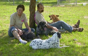 Auch Müßiggang gehört zu einem gelungenen Hundeurlaub.