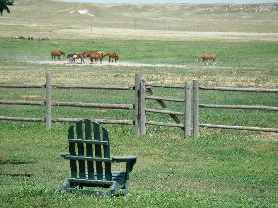Cowboy-Idylle auf der Colorado Cattle Company.