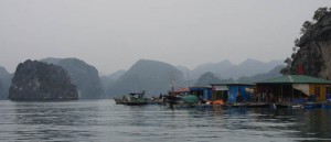 Einstige Seenomaden sind in der Ha Long-Bucht sesshaft geworden - nicht ganz freiwillig allerdings, die Regierung musste nachhelfen.