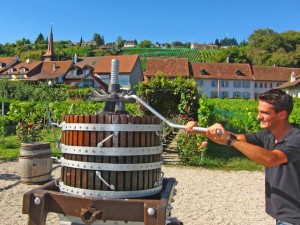 Fabrice Simonet an einer alten Weinpresse in seinem Weinberg am Rand von Motier 0688k2 Jungwinzer Fabrice Simonet an einer alten Weinpresse in seinem Weinberg am Rand von Motier.