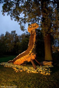 Alles Kürbis oder was? Der stimmungsvolle Rahmen, wie hier eine beleuchtete "Kürbis-Giraffe", verzückt die Besucher im Retzer Land. - Foto: Christoph Graf Alles Kürbis oder was? Der stimmungsvolle Rahmen, wie hier eine beleuchtete "Kürbis-Giraffe", verzückt die Besucher im Retzer Land. - Foto: Christoph Graf