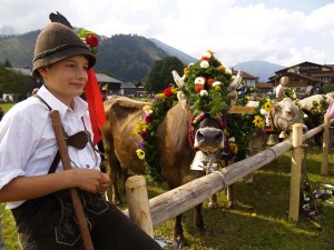 Die gesamte Sennerfamilie beteiligt sich am kunstvollen Schmücken der Kühe für den Almabtrieb. - Foto: Tourismusverband Tannheimer Tal 
