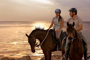 Hoch zu Ross die Naturwunder der Insel Sir Bani Yas im Persischen Golf erleben - das hat was. - Foto: Stromberger PR