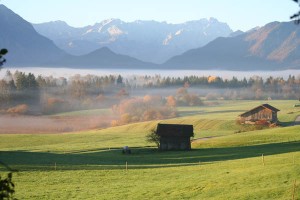 Im Murnauer Moos kann man Naturverbundenheit neu kennenlernen. Foto: Tourist-Info Murnau