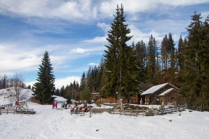 : Die Naggleralm ist deshalb so beliebt, weil dort ausschließlich auf biologische Produkte gesetzt wird.