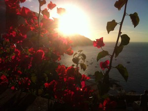 Die Bougainvillea oder auch Drillingsblume genannt ist bestens geeignet als Vordergrund für einzigartige Foto-Stillleben rund um die Amalfiküste.