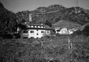 Im Jahr 1956 begann die Erfolgsgeschichte der Rottensteiners, als die gleichnamige Weinkellerei aus der Taufe gehoben wurde.