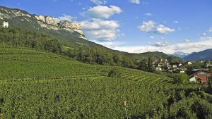 Eppan und Wein, das gehört einfach zusammen. - Foto: TV Eppan