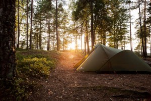 Geweckt von den ersten Sonnenstrahlen. Foto: scantrack touristik GmbH Geweckt von den ersten Sonnenstrahlen. Foto: scantrack touristik GmbH