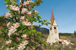 In Algund beginnt das Frühjahr schon etwas früher als anderswo. - Foto: Gartendorf Algund