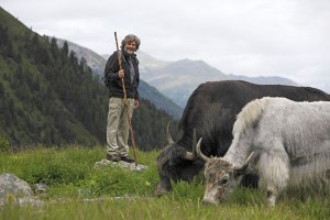 Reinhold Messner begleitet seine Yaks jedes Jahr Ende Juni höchstpersönlich auf ihre Sommerweide im Vinschgau. - Foto: Vinschgau Marketing/Frieder Blickle