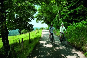 Im Allgäu kann man jetzt einen Radfernweg als Runde erkunden. - Foto: Allgäu GmbH