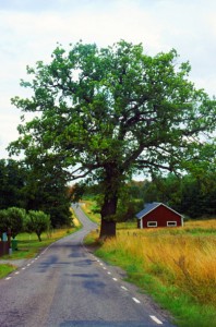 Schweden wie aus dem Bilderbuch. Foto: © John Foxx /Stockbyte /Thinkstock