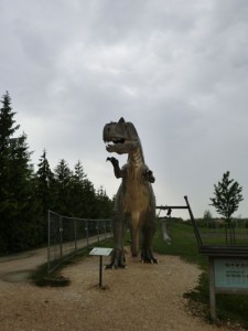 In Lebensgröße begrüßt dieser Allosaurus die Besucher am Familiensteinbruch Blumenberg; er ist 14 Meter lang und 4,5 Meter hoch. – Foto: Dieter Warnick