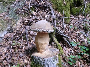 Auch „Holzpilze“ finden sich auf dem Jägersteig in Beixenhart. – Foto: Dieter Warnick