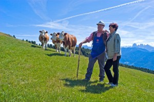 Bei der 1. Feldthurner Bergwoche werden Bergwiesen per Hand gemäht, Pausen inbegriffen. Foto: Tourismusverein Klausen