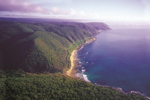 Die Great Ocean Road bietet fantastische Ausblicke. - Foto: visitmelbourne.com