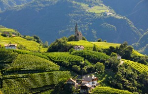 Inmitten der Weinberge steht das Kirchlein St. Magdalena in Prazöll – ein malerisches Kleinod mit Seltenheitswert. - Foto: Verkehrsamt der Stadt Bozen