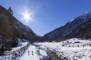 Im Vinschgau finden sich insgesamt acht ausgewiesene Langlaufgebiete für Skater wie Liebhaber des klassischen Stils. – Foto:  Vinschgau Marketing/Frieder Blickle