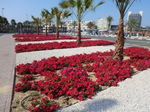 Auch das ist Dubai: Jedes Blumenbeet wird mit großem Aufwand bewässert. - Foto: Dieter Warnick