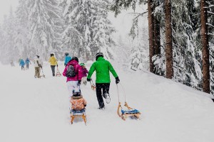 Drei Rodelbahnen in der Ferienregion Wilder Kaiser werden regelmäßig beschneit. – Foto: TVB Wilder Kaiser/Peter von Felbert