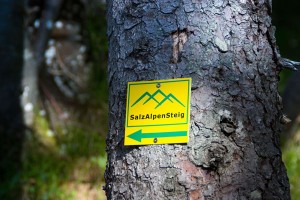 Grüne Bergspitzen auf gelbem Untergrund weisen den Weg auf dem SalzAlpenSteig. - Foto: Berchtesgadener Land Tourismus GmbH, S. Wurm