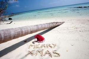 Weihnachten unter Palmen ist eine ganz neue Erfahrung.Foto: © istock.com/ photovideostock