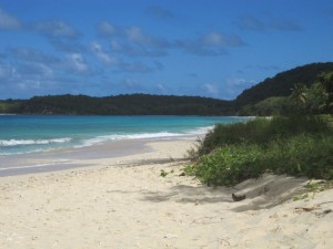 Wenn man den Mangrovenwald überwunden hat, erreicht man einen menschenleeren, herrlichen Strand.