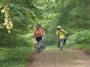 Der Wald von Tronçais ist einer der größten Eichenwälder Europas. 