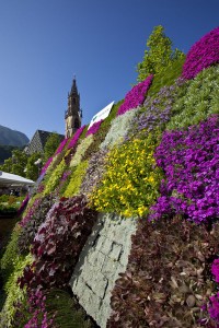 Eine Augenweide ist im Frühjahr der traditionelle Bozner Blumenmarkt. - Foto: Verkehrsamt der Stadt Bozen.