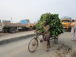 In Dhaka gibt es mehr Autos als früher, aber immer noch sehr viele tradtionelle Fortbewegungsmittel.