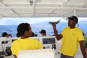 Whale Watching Touren sind mittlerweile ein beliebtes touristisches Angebot auf Dominica.