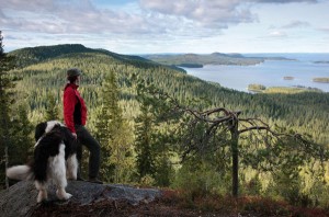 Malerische Landschaften bieten die insgesamt sieben Nationalparks an der finnischen Küstenregion. Foto: www.visitfinland.de 