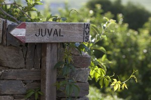 Schloss Juval im Vinschgau beherbergt neben einem MessnerMountainMuseum die Tibetika-Kunstsammlung des Extrembergsteigers. .- Foto: Bildnachweis: Vinschgau Marketing/Frieder Blickle