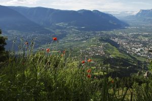 Das Meraner Land hält für jeden Urlauber etwas Besonderes bereit. - Foto: Frieder Blickle 