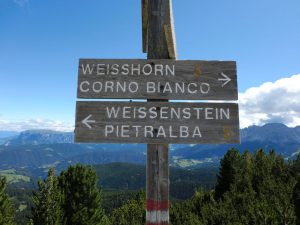 Wohin des Wegs? Sowohl der Gipfel des Weißhorns als auch der Wallfahrtsort Maria Weißenstein sind lohnende Ziele. - Foto: Dieter Warnick