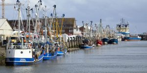 Ein farbenprächtiges Bild zeigt sich im Hafen von Cuxhaven. - Foto: Nordseeheilbad Cuxhaven