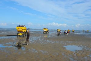 Wem eine Wattwanderung zu beschwerlich ist, der lässt sich mit einem Wattwagen durch das Schlick chauffieren. - Foto: Nordseeheilbad Cuxhaven