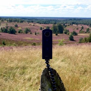 Die Heide zeigen, so wie sie ist. - Foto: Lüneburger Heide GmbH