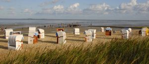 Das Wattenmeer der Nordsee bietet einer Vielfalt von Tieren und Pflanzen einen Lebensraum, den man am besten bei einer Wattührung mit einem erfahrenen Wattführer machen sollte. - Foto: Nordseeheilbad Cuxhaven