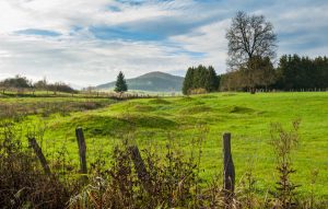 ... als auch im Sommer. Foto: shutterstock