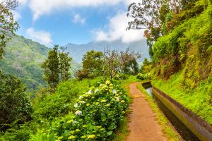 Madeira. Foto: © istock.com/aldorado10