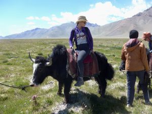 Auf dem Yak.