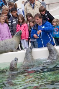 Im Naturkundemuseum Ecomare mit seinem Auffangzentrum für Seehunde kann man viel über die Natur auf Texel lernen.