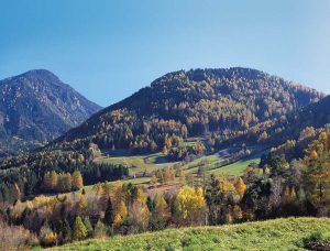 Mit seinen knapp 6900 Hektar ist der Naturpark Trudner Horn – hier die Rentschwiesen - der Zweitkleinste. - Foto: NP Trudner Horn