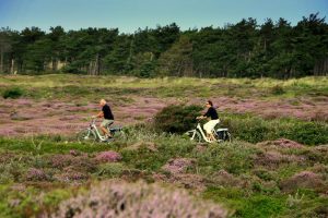 Das Wattengebiet ist das größte Naturgebiet der Niederlande und beherbergt mit dem Wattenmeer eine beispiellose Wildnis. Unter Einfluss von Ebbe und Flut verändern sich Natur und Landschaft fortwährend. Die besonderen Pflanzen und Tiere, die hier gedeihen, sind durch die speziellen Umstände sowohl kräftig als auch sehr verletzbar.