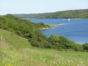 Idyllisch zieht sich die Panoramaroute am Mariager Fjord entlang. - Foto: Visit Mariagerfjord