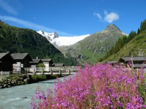 10 000 Tierarten, 1500 Pflanzenarten, zahlreiche Gletscher und Gebirgsbäche, Hochgebirgsseen und phänomenale Gebirgspanoramen – der Nationaplark Hohe Tauern ist ein wahres "Freiluftwunder". - Foto: Nationalpark Hohe Tauern / Manuel Egger