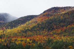 Herbstfarbenrausch in den Adirondack Mountains im Bundesstaat New York. Die Herbstlaubverfärbung im Oktober wird als Fall Foliage bezeichnet.