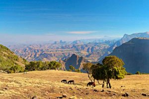 Wer eine Trekking-Reise durch Äthiopien unternimmt, wird von der Landschaft restlos begeistert sein. - Foto: Evaneos